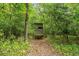 Image of a hunting stand surrounded by lush greenery and trees in a wooded area at 971 Mcnabb Rd., Loris, SC 29569