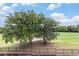 Beautiful view of a lush green field with mature trees, partially framed by a dark metal fence at 2180 Waterview Dr. # 1036, North Myrtle Beach, SC 29582