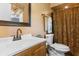 Cozy bathroom featuring a single sink vanity with a brown shower curtain and neutral walls at 308 Old Stage Rd., Mullins, SC 29574