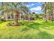 Expansive backyard featuring a large palm tree, lush green lawn, and a screened-in porch at 6434 Longwood Dr., Murrells Inlet, SC 29576