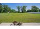 Expansive backyard featuring a lush lawn and wooded boundary at 2080 Highway 915, Loris, SC 29569