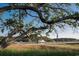 Picturesque view of a marina with boats docked, framed by a large tree branch at 4721 Hibiscus Dr. # 3-302, Little River, SC 29566