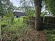 Overgrown backyard with an old, partially collapsed wooden fence and neighboring home in background at 564 Baker Ave., Murrells Inlet, SC 29576