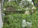 Overgrown backyard with multiple storage sheds and overgrown vegetation at 564 Baker Ave., Murrells Inlet, SC 29576