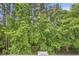View of trees from the porch at 6015 Catalina Dr. # 634, North Myrtle Beach, SC 29582