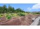 Picturesque community garden with raised beds, offering residents space to grow fresh produce and flowers at 775 Harrison Mill St., Myrtle Beach, SC 29579