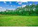 Expansive backyard with lush green grass and tall trees, enclosed by a fence for privacy at 101 Karlie Ln., Aynor, SC 29511