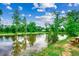 Beautiful view of the pond and lush greenery creating a peaceful setting at 101 Karlie Ln., Aynor, SC 29511