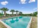 A community swimming pool surrounded by palm trees and lounge chairs on a sunny day at 1613 James Island Ave., North Myrtle Beach, SC 29582