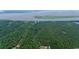 Expansive aerial view of lush, wooded acreage with waterfront access and scenic water views at 951 Herriott Farms Dr., Georgetown, SC 29440
