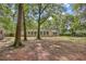 Lush backyard featuring mature trees, offering a private and serene outdoor space at 103 Wofford Ln., Conway, SC 29526