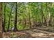 Scenic view of waterfront access, surrounded by lush greenery at 1072 Chelsey Circle, Conway, SC 29526