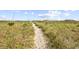 Scenic sandy path leads to the beach through dunes and natural vegetation at 1208 Trisail Ln, North Myrtle Beach, SC 29582