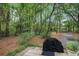 Secluded backyard with mature trees and a lush understory, providing privacy at 1930 Lake View Circle, Myrtle Beach, SC 29575