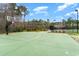 Outdoor basketball court for residents and guests with easy access and well maintained at 294 Splendor Circle, Murrells Inlet, SC 29576