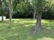 Spacious backyard featuring lush green grass and mature trees providing ample shade at 404 E Andrews St., Hemingway, SC 29554