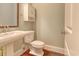 Charming powder room with a pedestal sink and classic fixtures at 55 Pineberry Dr., Georgetown, SC 29440