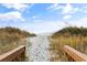Scenic beach path leading to the ocean with tranquil sand dunes and native plants at 8861 Chandler Dr. # F, Surfside Beach, SC 29575