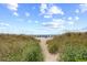 Sandy path leading to the beach surrounded by green grass and dunes at 4800 S Ocean Blvd. # 514, North Myrtle Beach, SC 29582