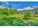 Wide-open backyard with green grass surrounded by mature trees for privacy at 4867 Wolf Trail, Conway, SC 29527