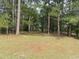 A scenic view of a large, wooded lot, perfect for building a dream home or enjoying nature at 558 Oxbow Dr., Myrtle Beach, SC 29579