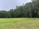 Expansive green field meeting a dense treeline on a cloudy day at 71 Mohican Dr., Georgetown, SC 29440