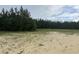 Sandy, partially grassy land with a backdrop of tall pine trees against a cloudy sky at 71 Mohican Dr., Georgetown, SC 29440