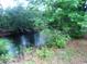 Scenic view of a tranquil pond surrounded by lush greenery and trees at 742 Se Hebron Dr., Conway, SC 29527