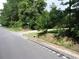 View of the street in front of the property with lush greenery at 742 Se Hebron Dr., Conway, SC 29527