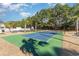 Outdoor pickleball court with basketball hoop surrounded by mature trees and landscaping for a relaxing recreation at 203 Old Hickory Dr., Conway, SC 29526
