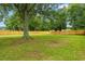 Vast backyard with mature trees and a new wooden fence, perfect for outdoor activities at 2965 Mount Olive Rd., Loris, SC 29569