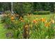 Lush flower garden with vibrant orange daylilies and lavender, adding a touch of color to the landscape at 300 Crescent Dr., Conway, SC 29526