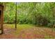 Expansive backyard featuring lush greenery, mossy patches, and mature trees, perfect for outdoor activities at 3534 Nichols Hwy., Galivants Ferry, SC 29544