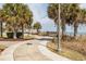 Scenic walkway lined with palm trees leading to the beach and oceanfront views at 504 N Ocean Blvd. # 1901, Myrtle Beach, SC 29577