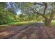 Expansive front yard featuring a long driveway surrounded by lush greenery and mature trees at 7288 Schooners Ct. Sw, Ocean Isle Beach, NC 28469