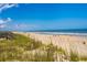 Picturesque beach with grassy dunes and calming ocean breezes, perfect for relaxation and coastal living at 100 Ocean Park Loop, Georgetown, SC 29440
