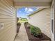View of the walkway to the home showcasing fresh landscaping and a glimpse of the neighborhood at 195 Black Pepper Loop, Little River, SC 29566