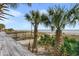 Beautiful sandy beach and ocean views lined with palm trees at 3000 N Ocean Blvd. # 420, Myrtle Beach, SC 29577