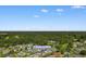 Overhead view of 9466 Old Palmetto Road surrounded by lush greenery at 9466 Old Palmetto Dr., Murrells Inlet, SC 29576