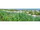 Serene beach with lush dune grass and ocean views at 1105 S Ocean Blvd. # 330, Myrtle Beach, SC 29577