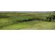 Expansive marsh with tall grasses and nearby trees offers a tranquil escape at 125 Oak Bay Dr., Georgetown, SC 29440