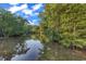 Peaceful river view with trees along the water's edge at 128 Knotty Pine Way, Murrells Inlet, SC 29576
