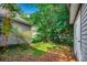 A shady backyard showcases a mix of green grass and pine straw beneath mature trees at 1836 Juniper Dr., Conway, SC 29527