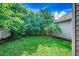A lush backyard features a green lawn, trees, and the side of the house at 1836 Juniper Dr., Conway, SC 29527