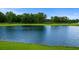 Scenic view of a tranquil pond surrounded by lush green grass and mature trees at 326 Picnic Basket Pl., Longs, SC 29568