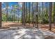 Community basketball court in a private wooded area with tall trees at 137 Hickory Dr., Conway, SC 29526