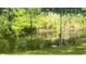 Scenic pond surrounded by lush greenery and trees, creating a peaceful natural setting at 160 Comanche Dr., Georgetown, SC 29440