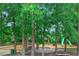 Charming playground nestled among mature trees, providing a fun and safe environment at 161 Barclay Dr., Myrtle Beach, SC 29579