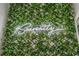 #Searenity sign on green wall, adding a stylish and unique touch to the space at 2701 Kashton Dr., Myrtle Beach, SC 29577