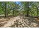 Long driveway leading to the home surrounded by mature trees and greenery at 10381 Hardwick Rd., Nichols, SC 29581
